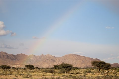 Acacias and the mountain front