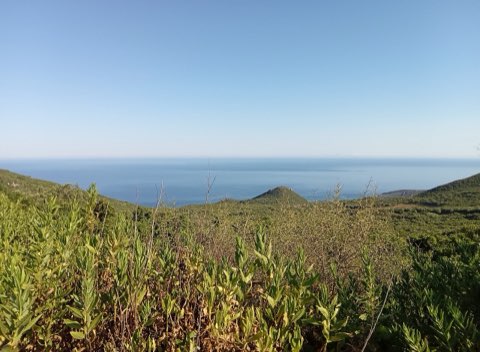 Coast at Cap Negro